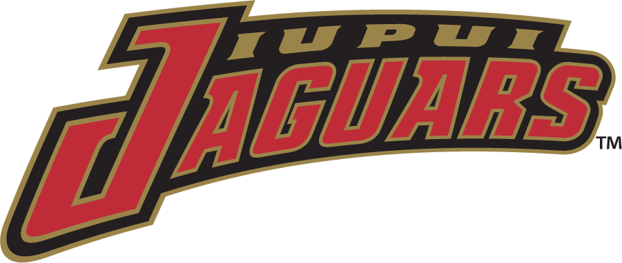 IUPUI Jaguars 1998-2007 Wordmark Logo diy DTF decal sticker